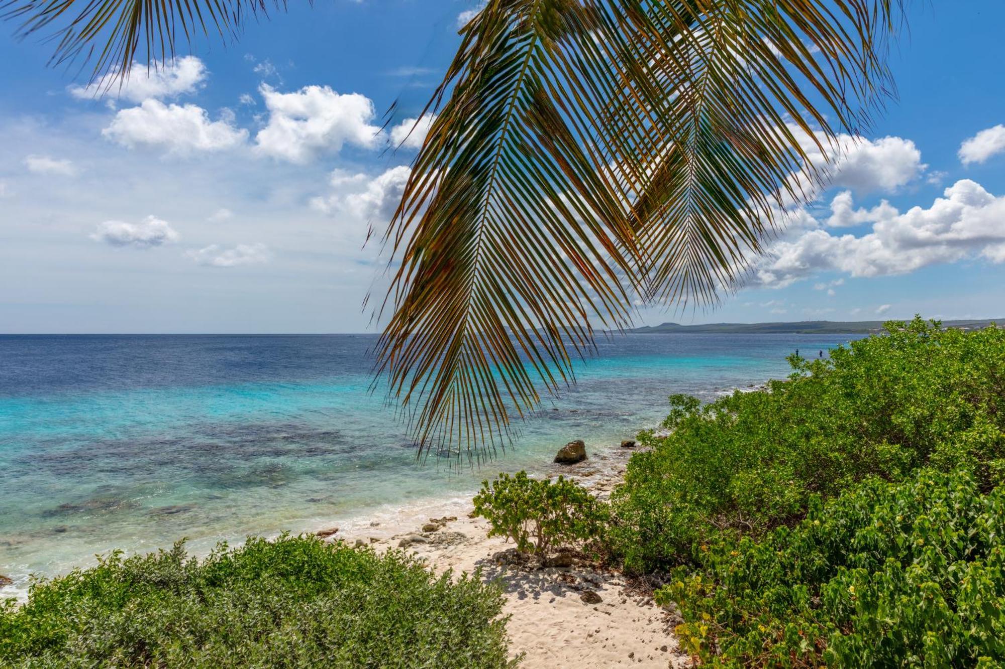 One Ocean Boutique Apartments & Suites Bonaire Кралендижк Екстериор снимка