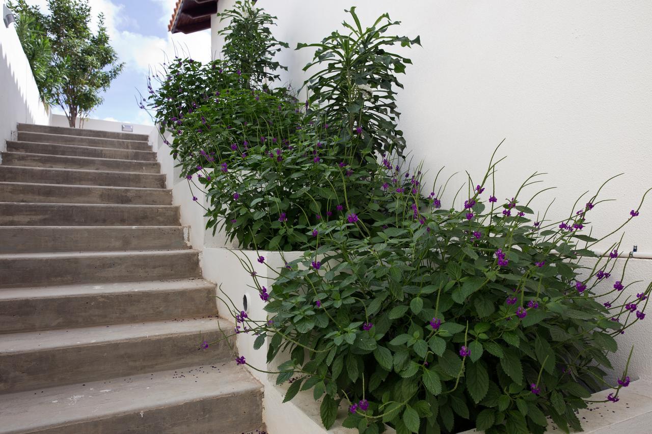 One Ocean Boutique Apartments & Suites Bonaire Кралендижк Екстериор снимка