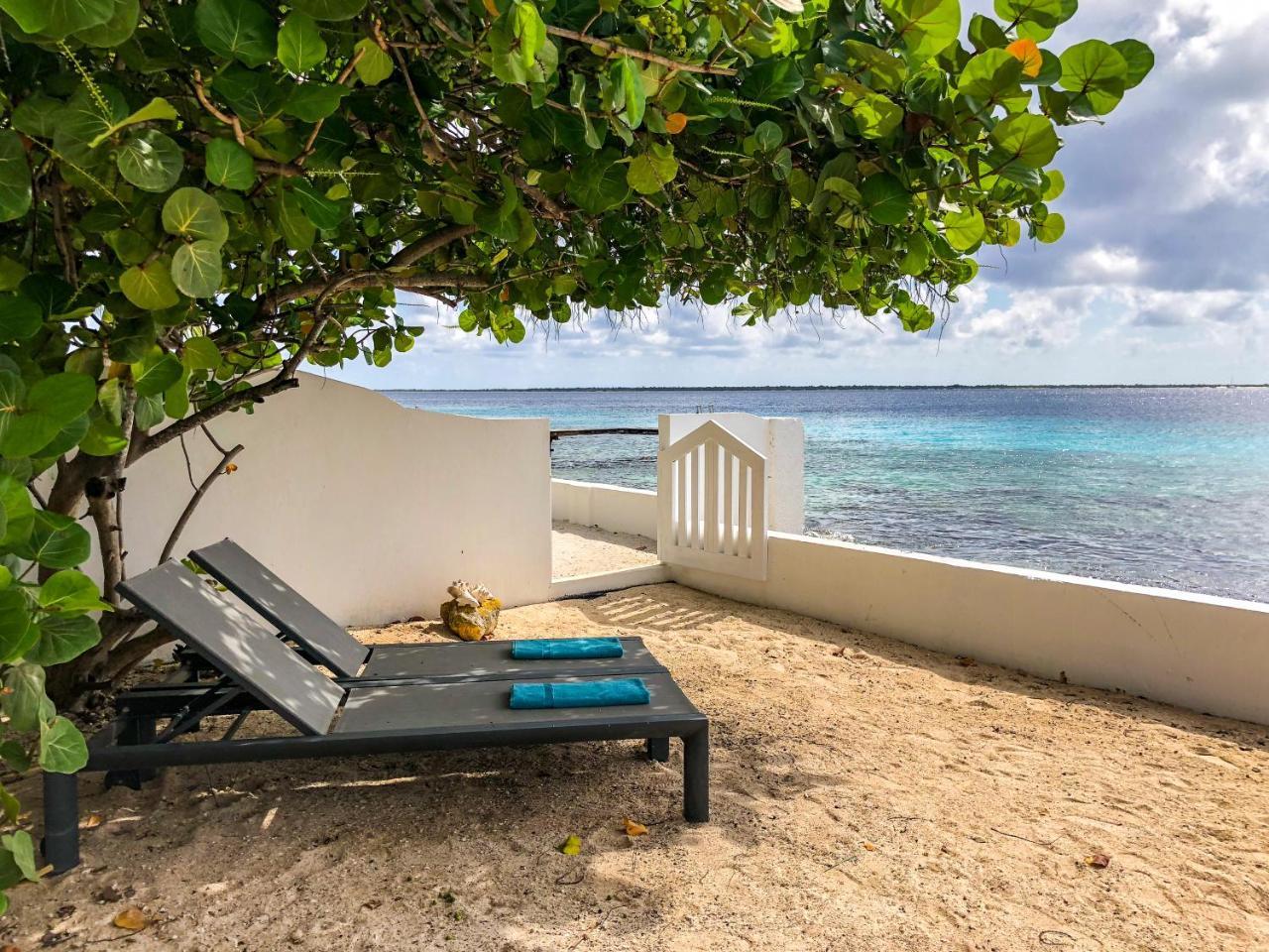 One Ocean Boutique Apartments & Suites Bonaire Кралендижк Екстериор снимка